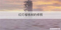 红灯樱桃树的修剪