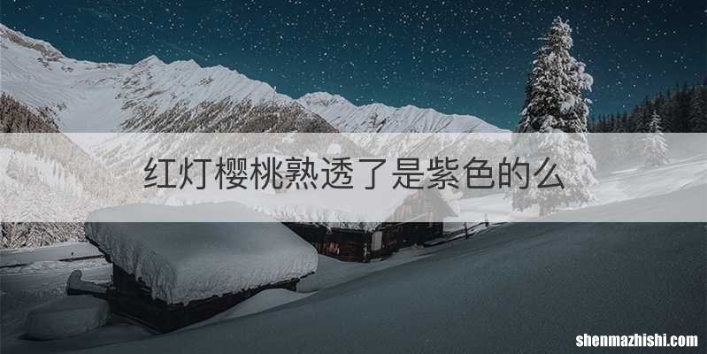 红灯樱桃熟透了是紫色的么