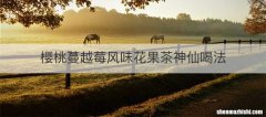 樱桃蔓越莓风味花果茶神仙喝法