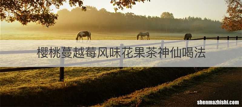 樱桃蔓越莓风味花果茶神仙喝法