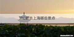 沪C能去上海哪些景点