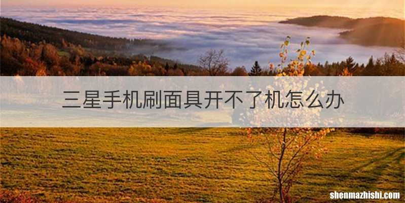 三星手机刷面具开不了机怎么办