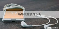 熟牛杂需要焯水吗