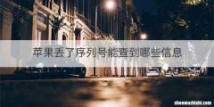 苹果丢了序列号能查到哪些信息