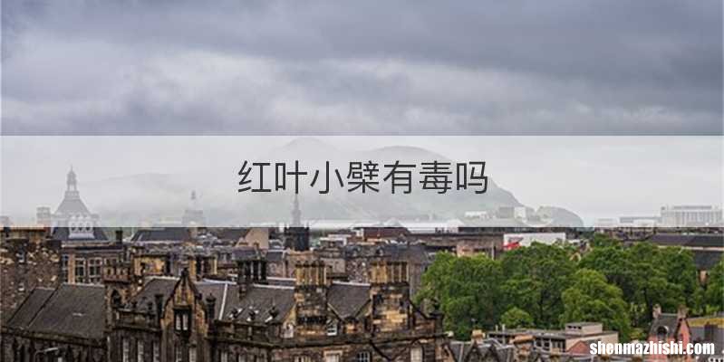 红叶小檗有毒吗