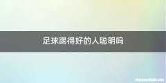 足球踢得好的人聪明吗