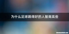 为什么足球踢得好的人智商高些