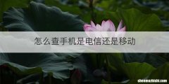 怎么查手机是电信还是移动