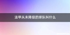 法甲从未降级的球队叫什么