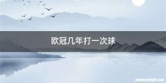 欧冠几年打一次球