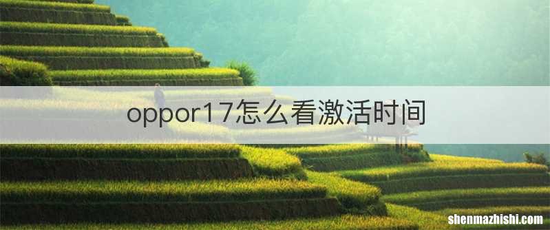 oppor17怎么看激活时间