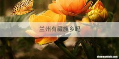 兰州有藏族乡吗