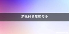 足球球员年薪多少