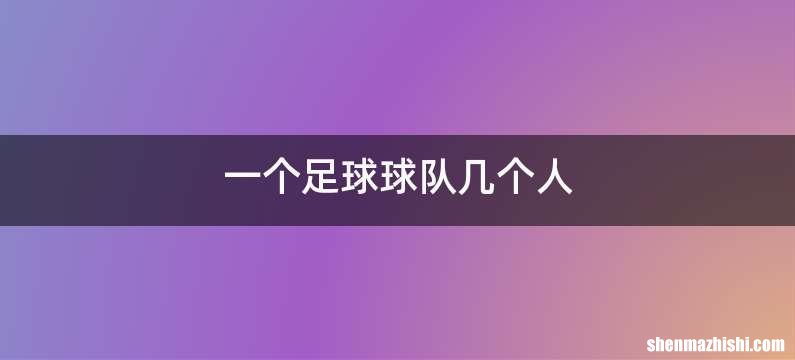 一个足球球队几个人