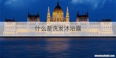 什么是洗发沐浴露