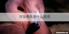 沐浴春风是什么短语