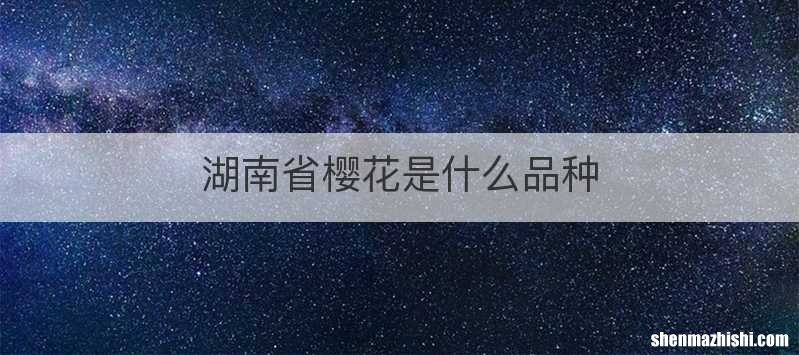 湖南省樱花是什么品种
