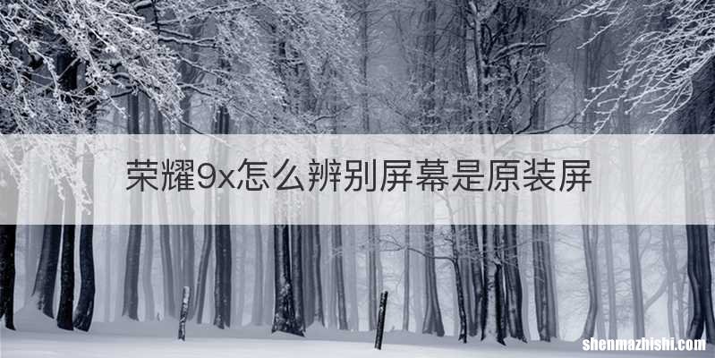 荣耀9x怎么辨别屏幕是原装屏