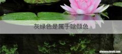 灰绿色是属于啥颜色