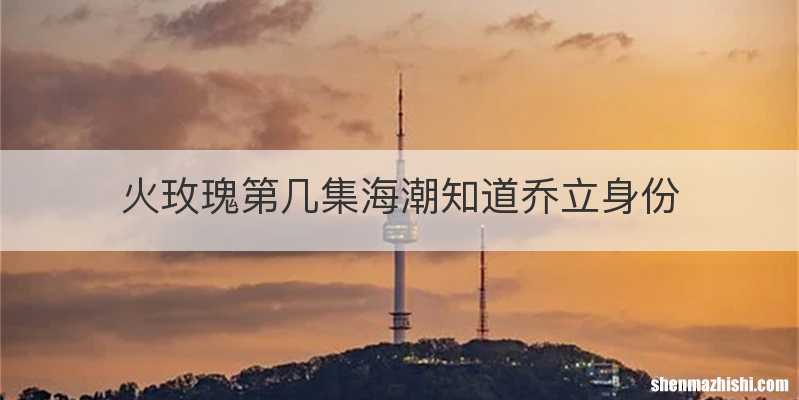 火玫瑰第几集海潮知道乔立身份