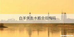 白羊失去水瓶会后悔吗