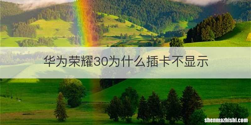 华为荣耀30为什么插卡不显示