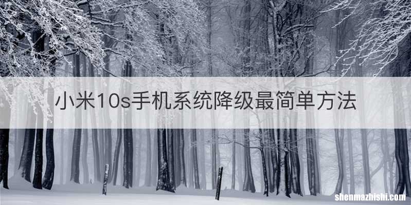 小米10s手机系统降级最简单方法