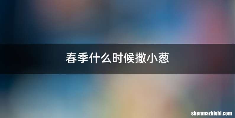 春季什么时候撒小葱