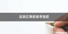 盆栽红舞姬春季施肥