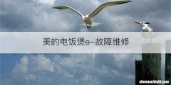 美的电饭煲e-故障维修