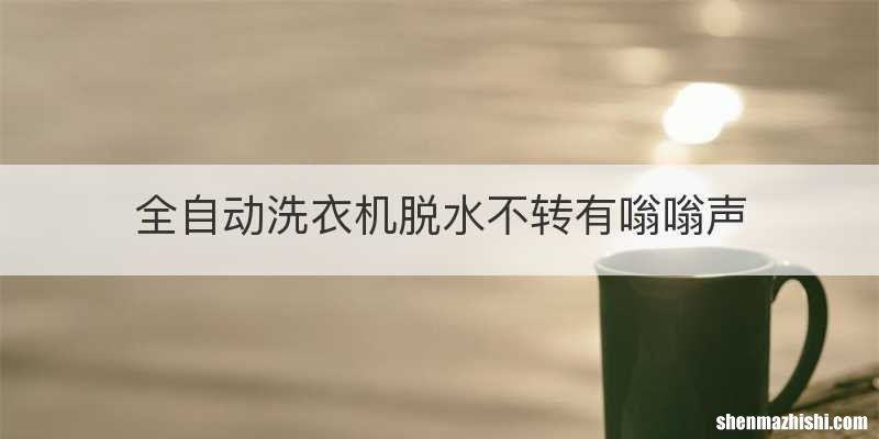 全自动洗衣机脱水不转有嗡嗡声
