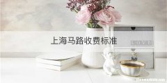 上海马路收费标准
