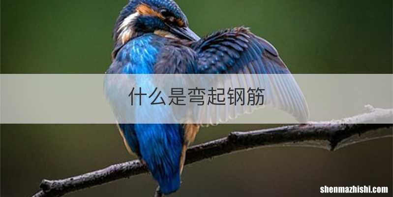 什么是弯起钢筋