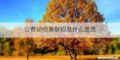 公费幼师兼联招是什么意思