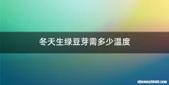 冬天生绿豆芽需多少温度
