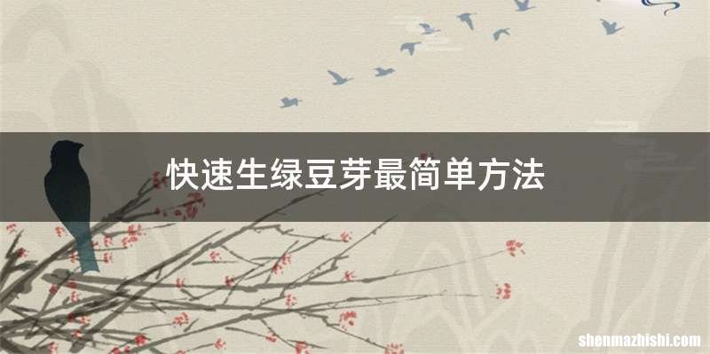 快速生绿豆芽最简单方法