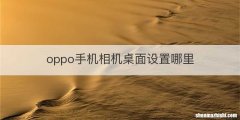 oppo手机相机桌面设置哪里
