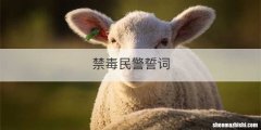 禁毒民警誓词