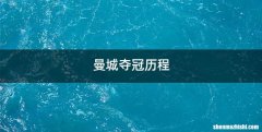 曼城夺冠历程
