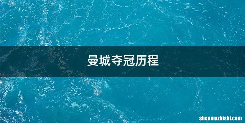 曼城夺冠历程
