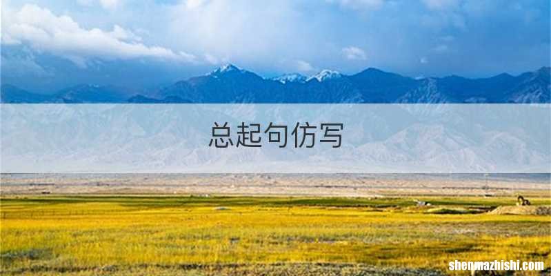 总起句仿写