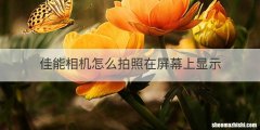 佳能相机怎么拍照在屏幕上显示