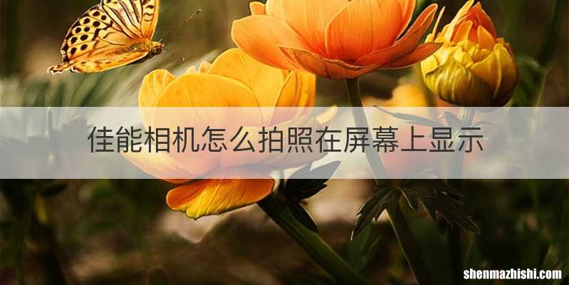 佳能相机怎么拍照在屏幕上显示