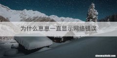 为什么崽崽一直显示网络错误