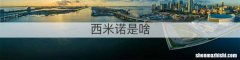 西米诺是啥