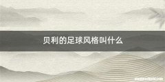 贝利的足球风格叫什么