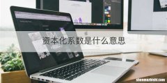 资本化系数是什么意思
