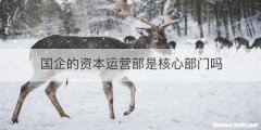 国企的资本运营部是核心部门吗