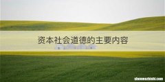 资本社会道德的主要内容