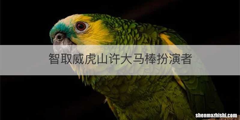 智取威虎山许大马棒扮演者